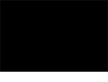 Tablet Screenshot of plchouston.org